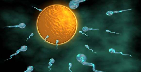 Ljeto je najbolje vreme za začeće