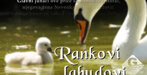 Filmovi BN TV u užem izboru za nagrade