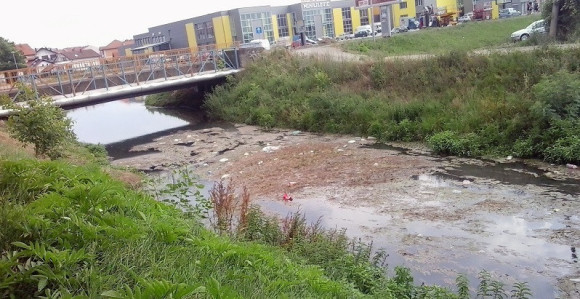 Bijeljina - grad ili ekološka džungla?!