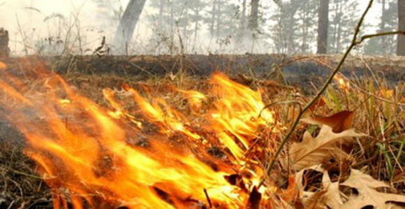 Požar na prostoru opštine Berkovići