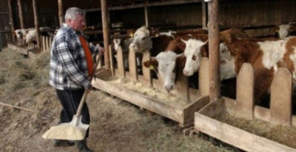 Poljoprivrednicima podsticaji 6 puta manji