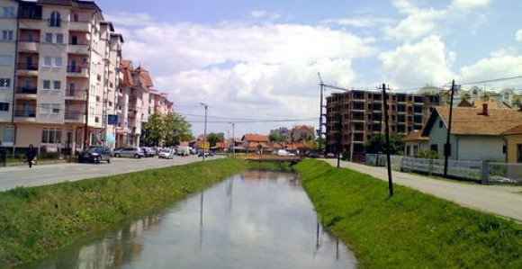 Poribljene šaranom Sava i Dašnica