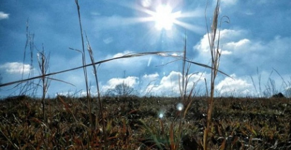 Danas temperatura i do 30 stepeni