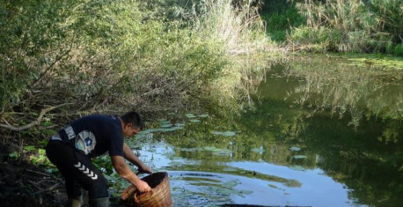 Ribu staru 450 miliona godina love korpama