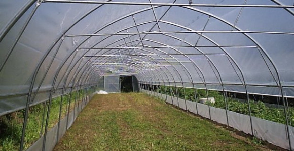 Petrovo: Plastenici za 20 domaćinstava