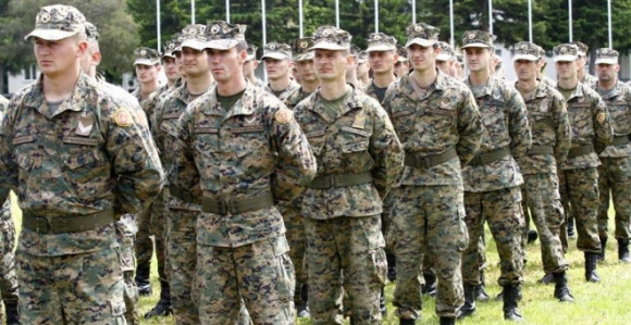 Vojska za voće i povrće daje pola miliona KM