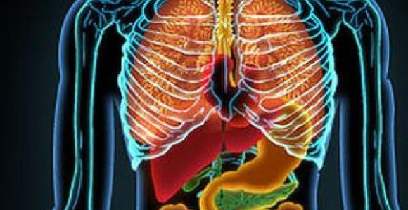 Kineski biološki sat