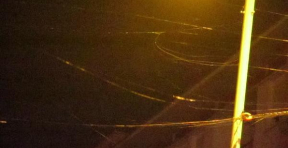 Misteriozna "paučina" uznemirila građane