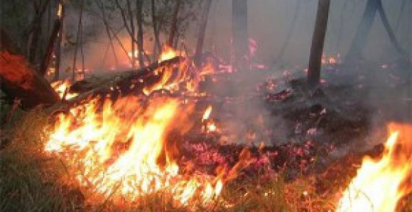 Paljenjem korova ugrozili kuće