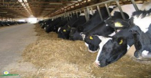 U preduzeću ''Farmland'' danas štrajk upozorenja