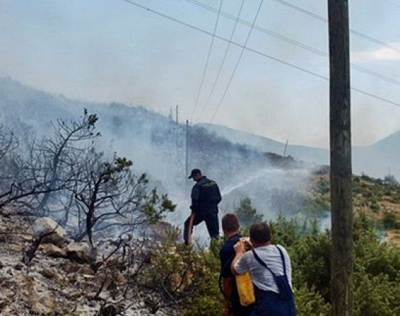Šumski požar u Trebinju