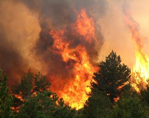 Trebinje: Vatrogaci dobili bitku sa stihijom