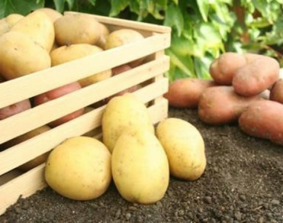Zabranjen uvoz 114 t merkantilnog krompira