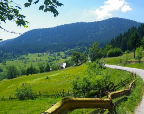 BiH na 71. mjestu najmirnijih zemalja svijeta