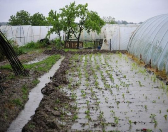 Višemilionske štete u poljoprivrednim zadrugama Srpske