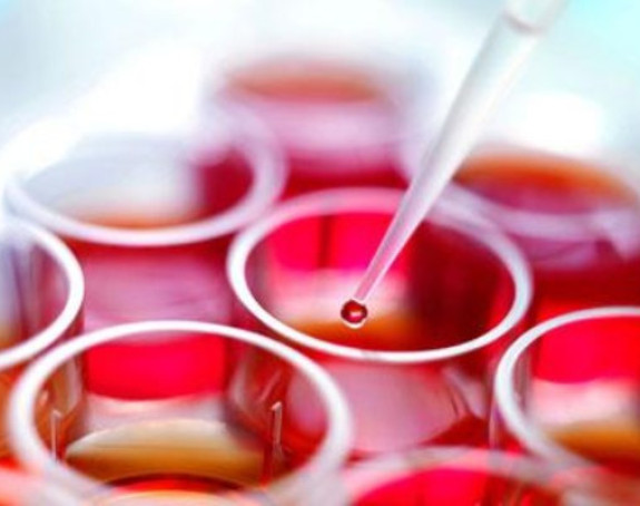 Matične ćelije regenerišu oštećeno srce