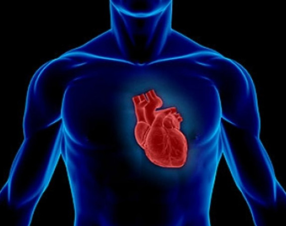 Prirodni lijek za srce