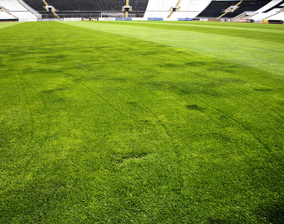 FSS i Partizan mijenjaju travnjak! Gdje će crno-beli?!