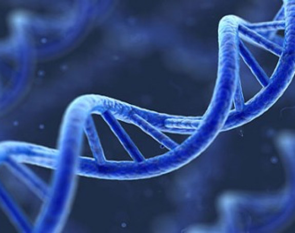 Geni i alkoholna pića