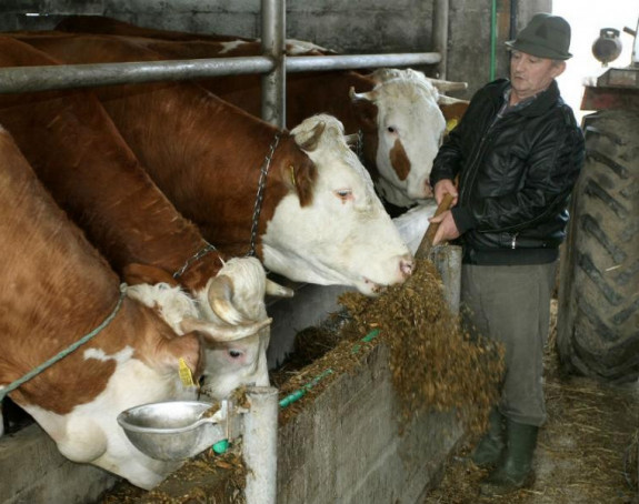 Ugroženi mljekari zbog priliva jeftinih proizvoda iz EU