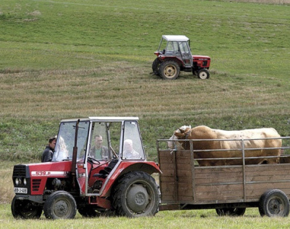 Seljaka dotukla 2014.