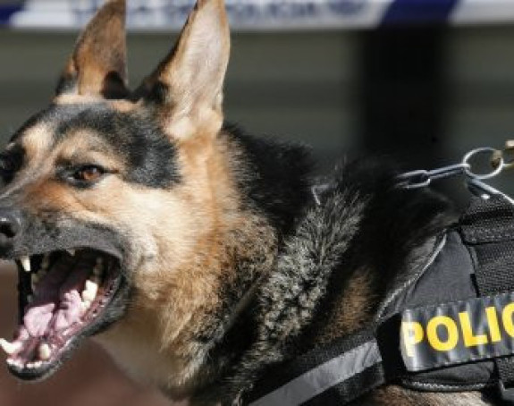 Цуко ујео играча за вријеме меча!