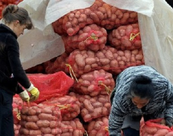 Paradoks- Srbija uvozi krompir, a svoj baca