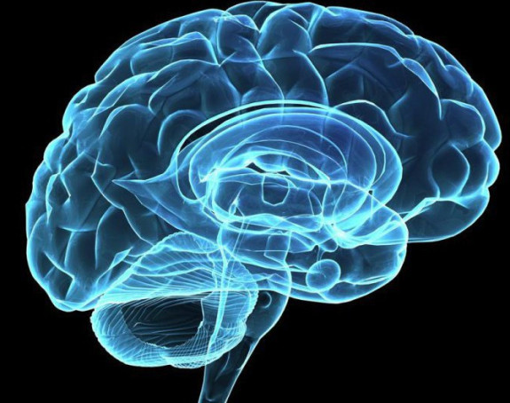 Мозак “ефикаснији” када говорите два језика