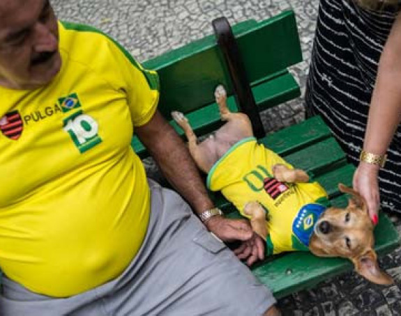 U Brazilu ima više pasa nego djece!