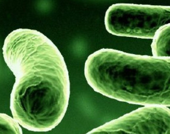 Dobre bakterije liječe i alergije