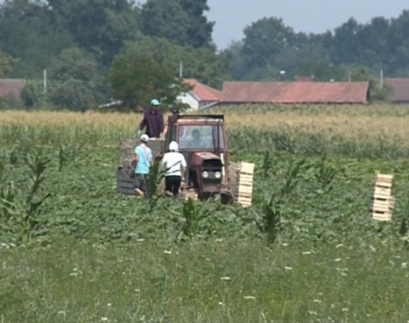 И вријеме је против пољопривредника