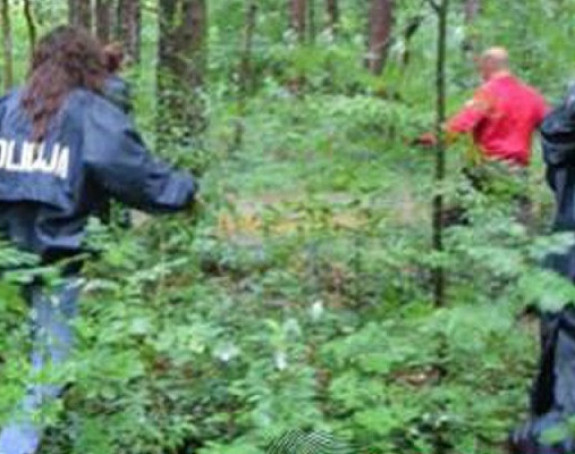 Potraga za nestalim bratom i sestrom