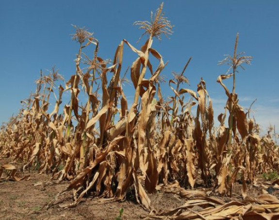 Narednih 15 dana loše za poljoprivrednike