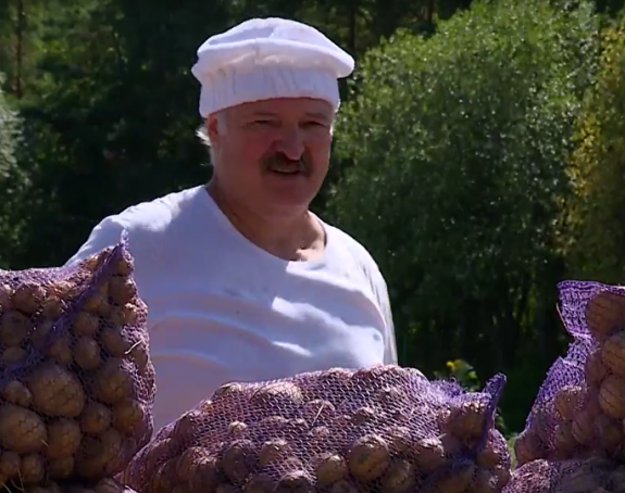 Лукашенко са сином копао кромпир