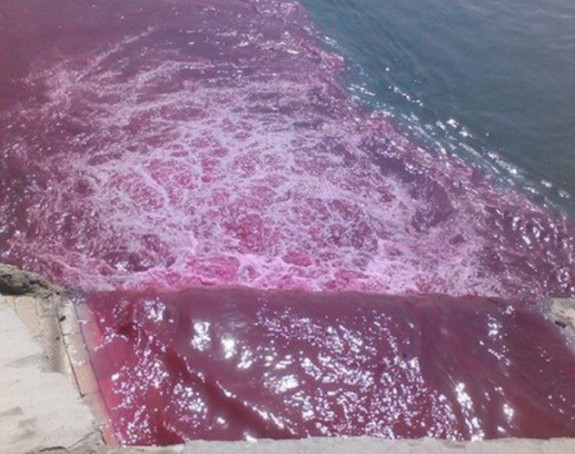 U Dunavu ponovo crvena tečnost