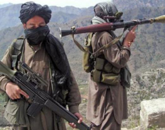 Avganistanska vojska ubila 145 talibana