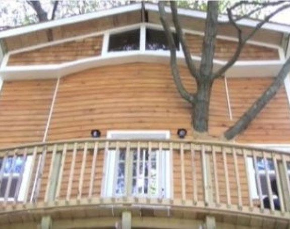 Trospratnica na drvetu