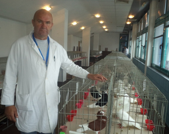 Prva smotra golubova "Srbac 2015."