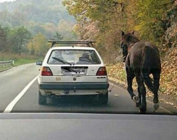 Banjaluka: Zavezao konja za automobil!