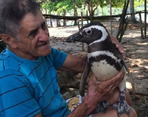 Veliko prijateljstvo Brazilca i pingvina