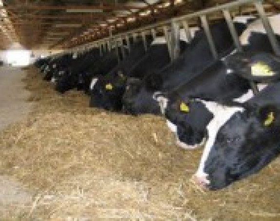 U preduzeću ''Farmland'' danas štrajk upozorenja