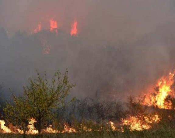 Trebinje: Vatra "guta" šumu i rastinje