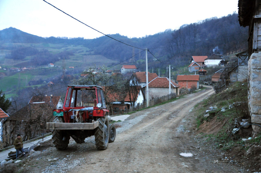 Loznica uz mlade bračne parove