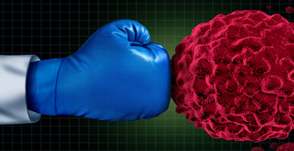 Otkriće: Bobice koje liječe sve vrste raka?