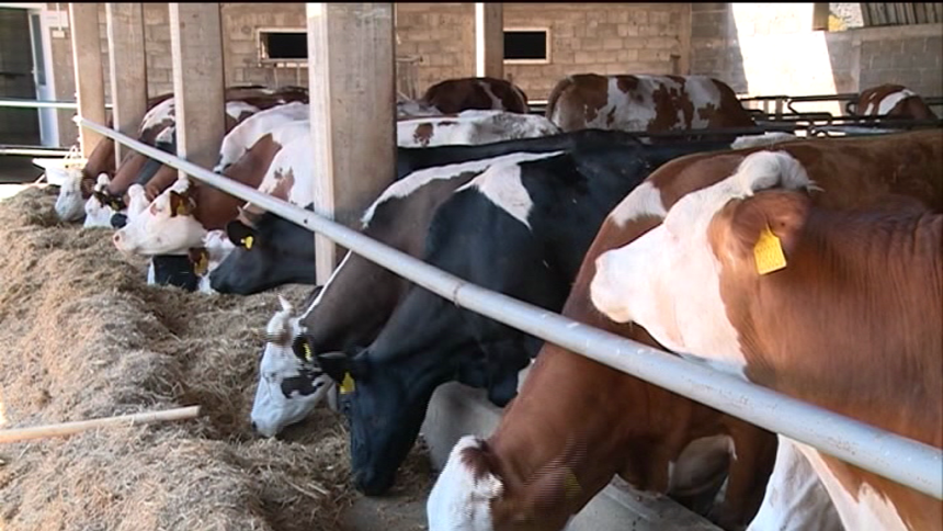 Ništa od najavljene njemačke pomoći?