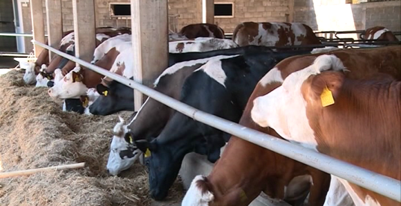 Ništa od najavljene njemačke pomoći?