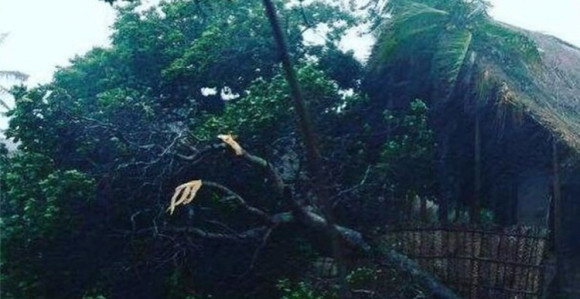 Пола милиона људи без струје