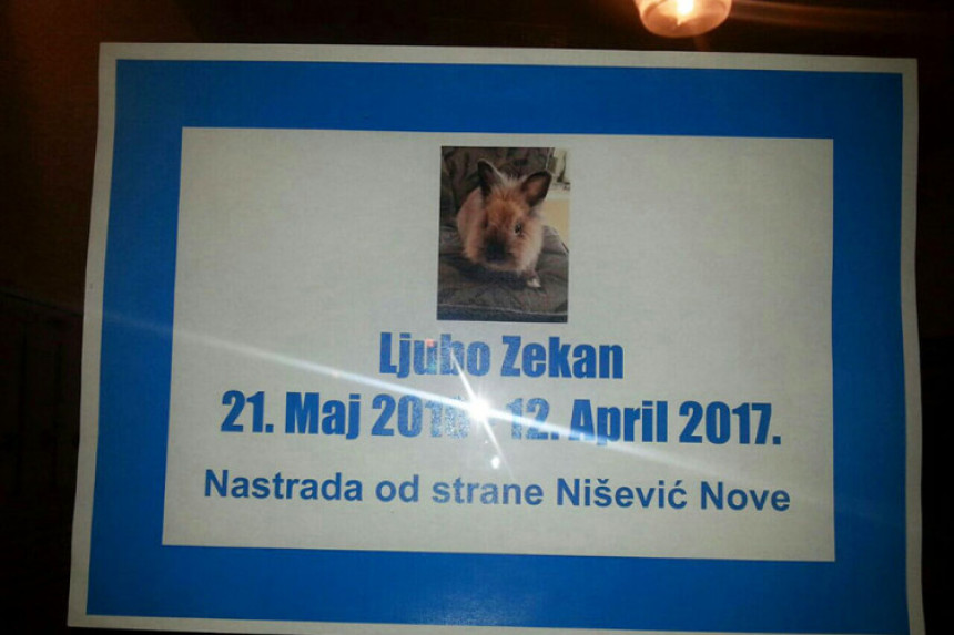 Smrtovnica za zeca!