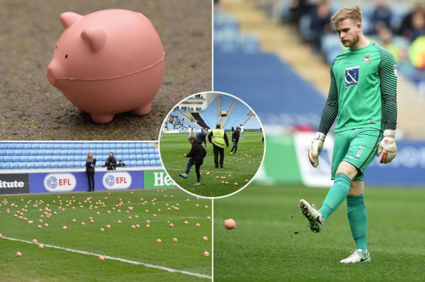 Video: Sa tribina leti... svinja!