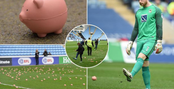 Video: Sa tribina leti... svinja!